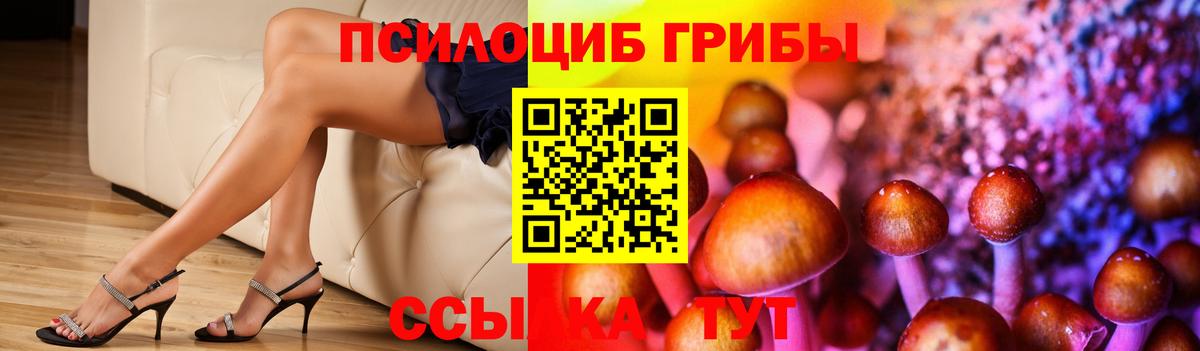 Галлюциногенные грибы MAGIC MUSHROOMS Прокопьевск